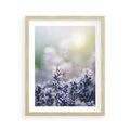 Plakat w ramie 40x50 - Delikatna Uroda Natury - wrzosy, fiolet - rama drewno