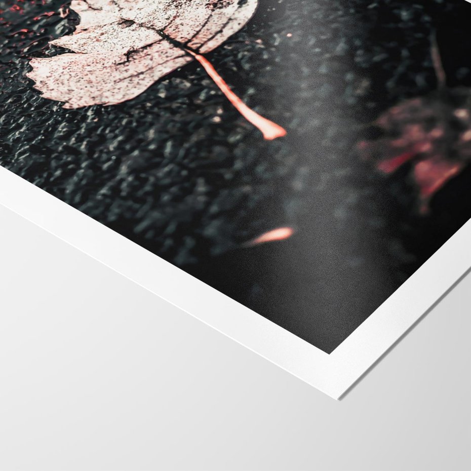 Plakat bez ramy 30x40 - Jesień w Detalu: Liść na Mokrej Drodze - liść, jesień