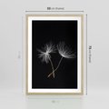 Plakat w ramie 50x70 - Delikatność Wiatru - dmuchawce, makro - rama drewno