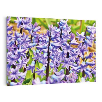 Obraz na płótnie 120x80 - Kwiatowy wibrant piękno natury - kwiat, kwiaty