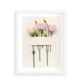 Plakat w ramie 40x50 - Białe kwiatowe uniesienia - białe, kwiaty - rama biała