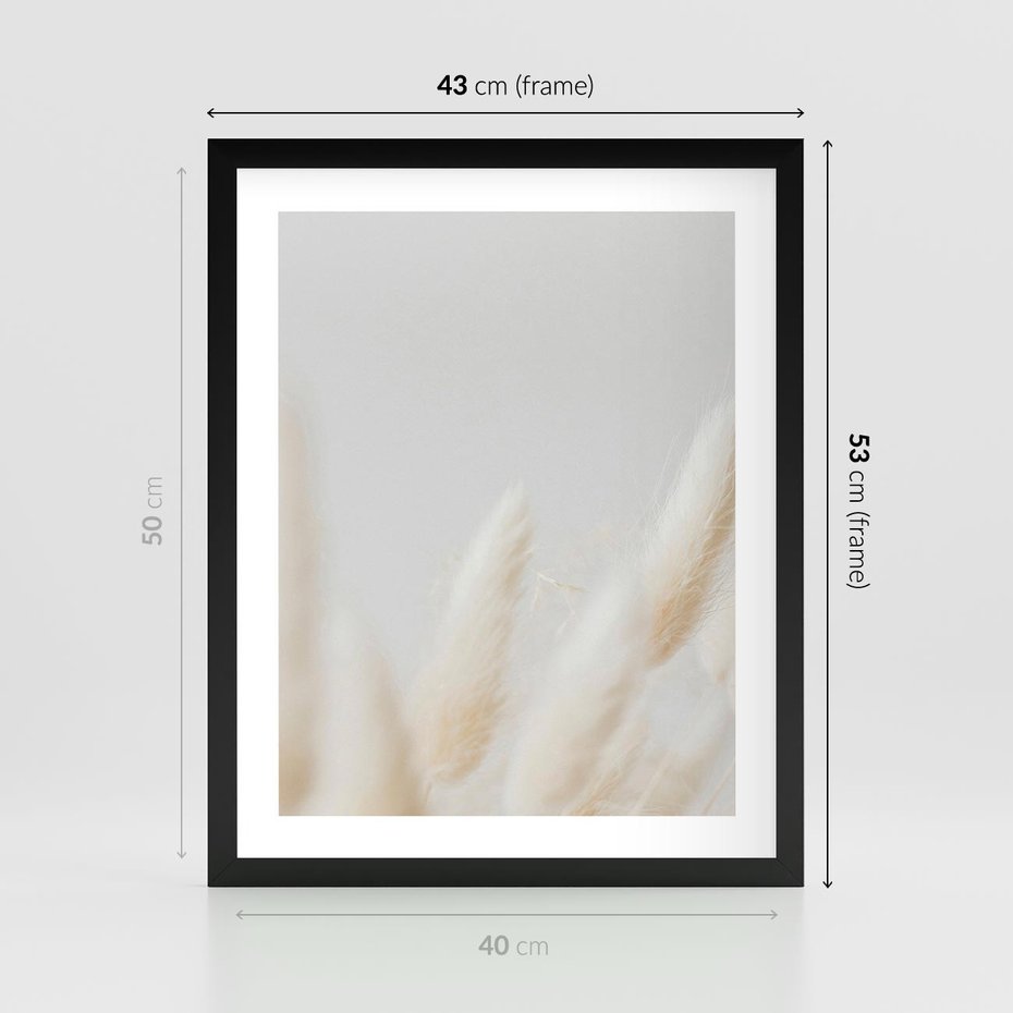 Plakat w ramie 40x50 - Biały Spokój - białe trawy, suche trawy pampas - rama czarna