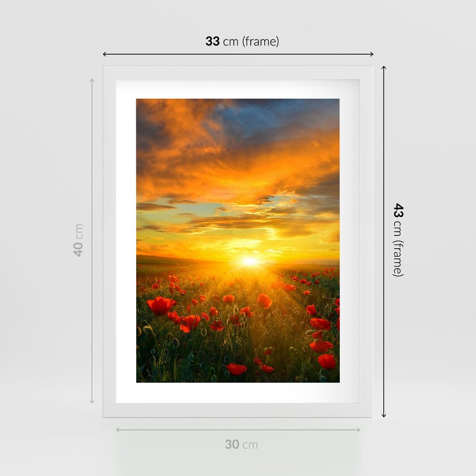 Plakat w ramie 30x40 - Magia zachodu słońca na łące z makami - łąka, zachód słońca - rama biała