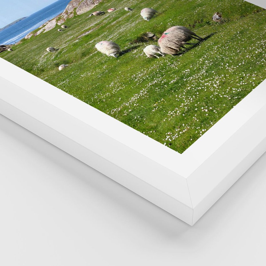 Plakat w ramie 30x40 - Górskie Owce - góry, owce - rama biała