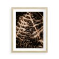 Plakat w ramie 40x50 - Liście i Paprocie - suche liście, paprocie - rama drewno