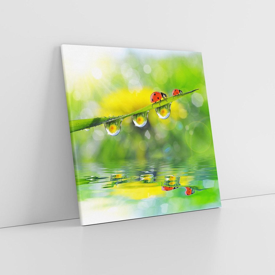 Obraz na płótnie 30x30 - Deszczowa Biedronka - biedronka, deszcz