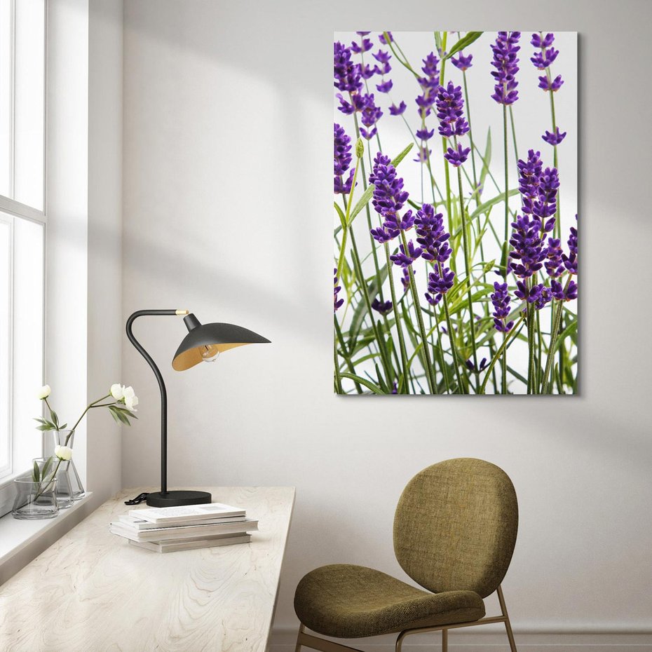 Obraz na płótnie 50x70 - Fioletowa harmonia lawendy - lawenda, fiolet