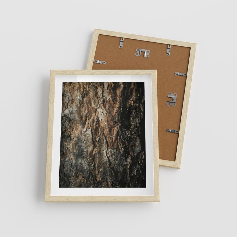 Plakat w ramie 40x50 - Tekstura Drewna: Zbliżenie - zbliżenie na pień drzewa, tekstura - rama drewno