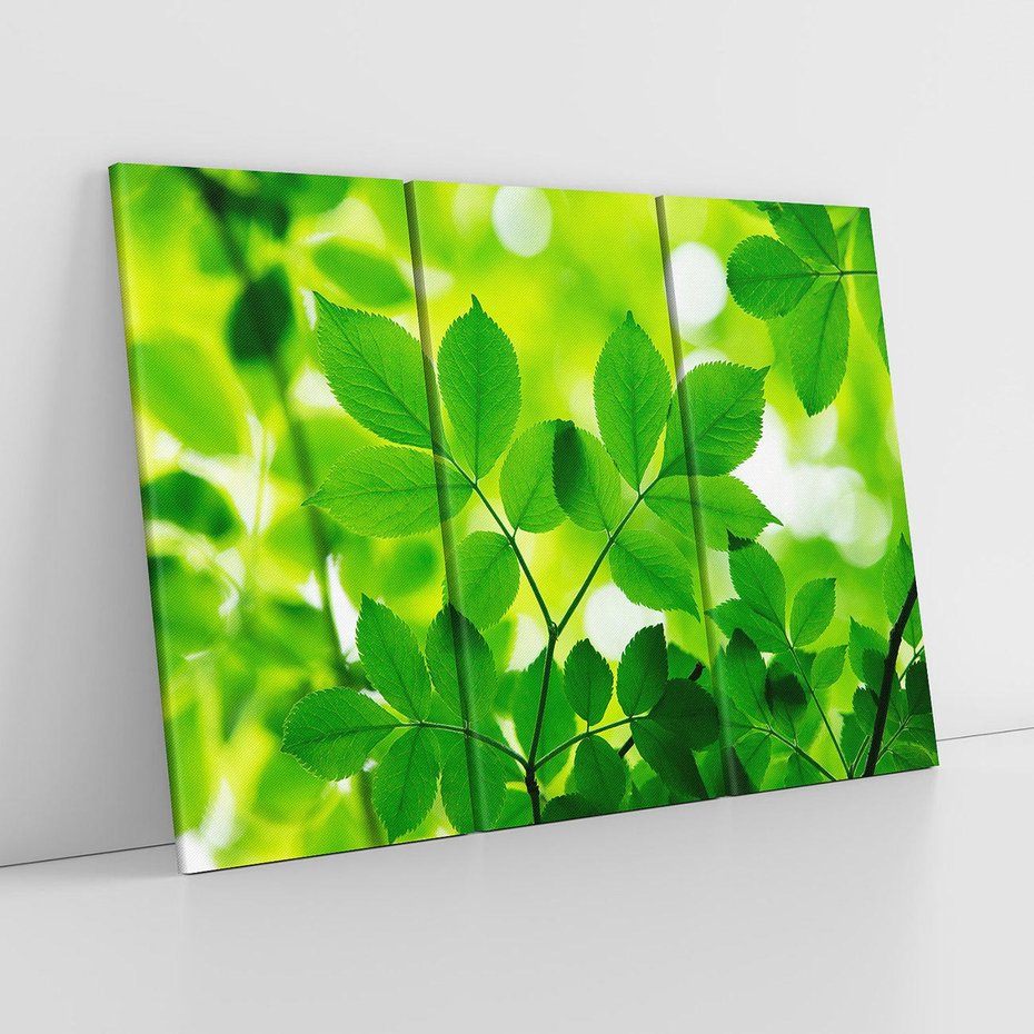 Obraz na płótnie 120x80 - Magia liści - liście, drzewo