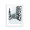 Plakat w ramie 30x40 - Magia Zimy na Obrazie - las, zima - rama biała