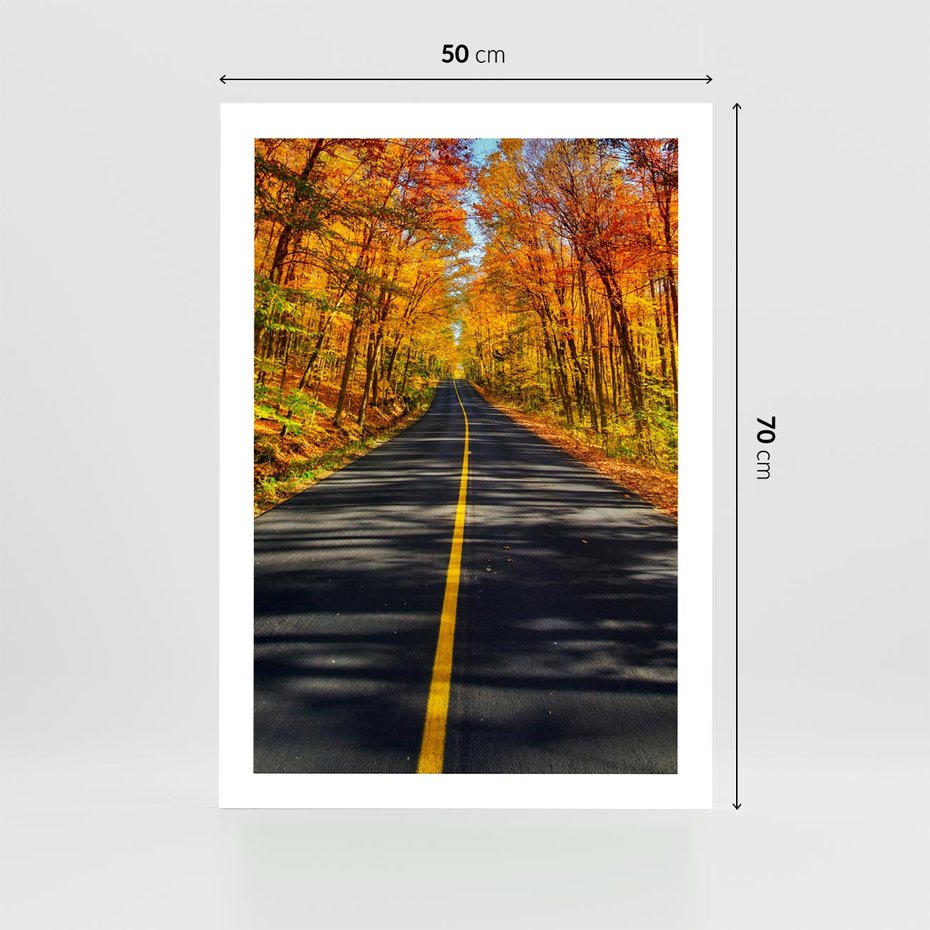 Plakat bez ramy 50x70 - Droga przez jesienny las - droga, las