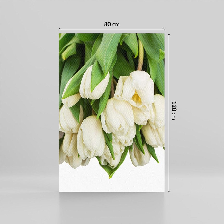 Obraz na płótnie 80x120 - Białe tulipany w pełnym rozkwicie - białe, tulipany