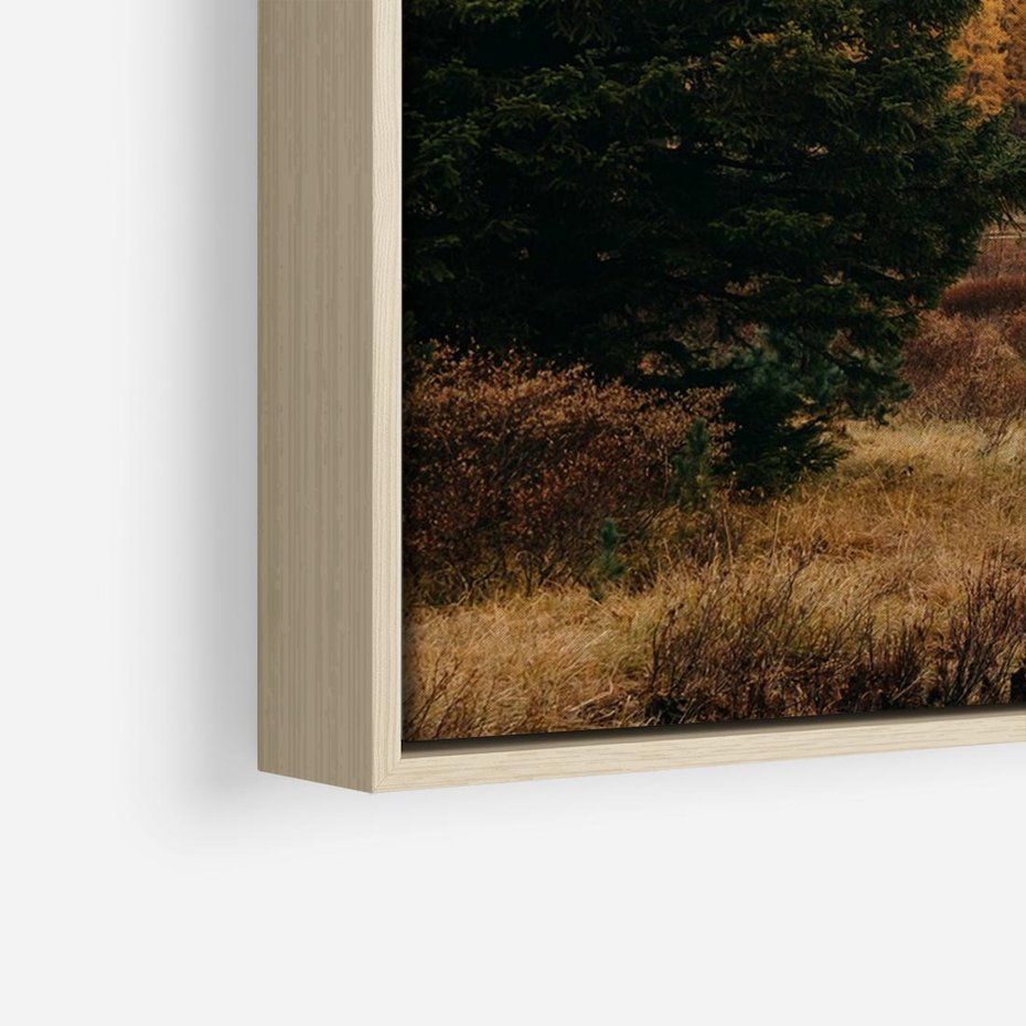 Obraz w ramie 70x50 - W Górskiej Dolinie - artystyczna fotografia, las - rama drewno