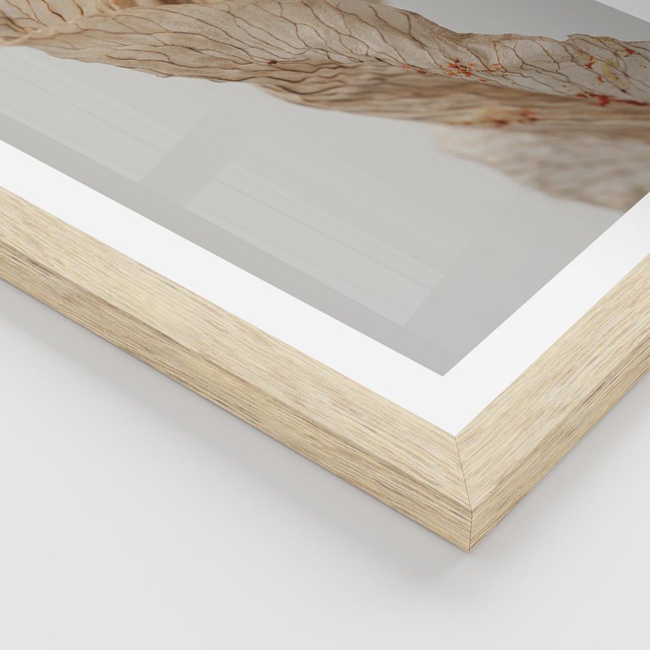Plakat w ramie 30x40 - Suszone piękno - susz, suche - rama drewno