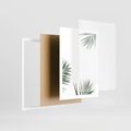 Plakat w ramie 50x70 - Liście Palmy na Czystym Tle - liście palmy, białe tło - rama biała