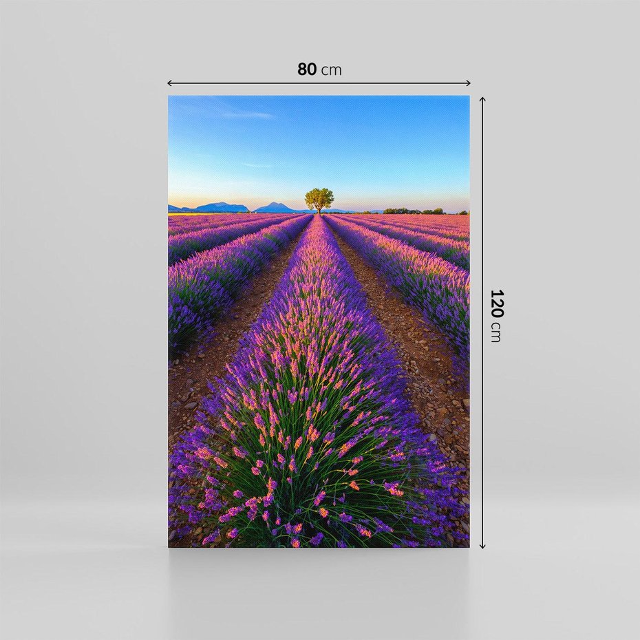 Obraz na płótnie 80x120 - Fioletowa Magia - pole, lawendy