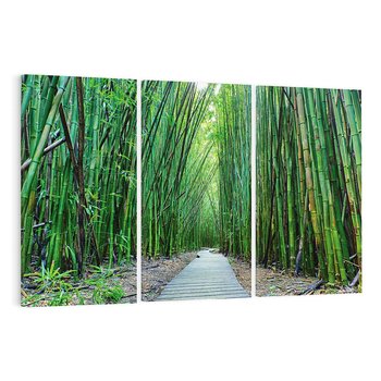 Obraz na płótnie 120x80 - Spacer wśród lasu - ścieżka, las