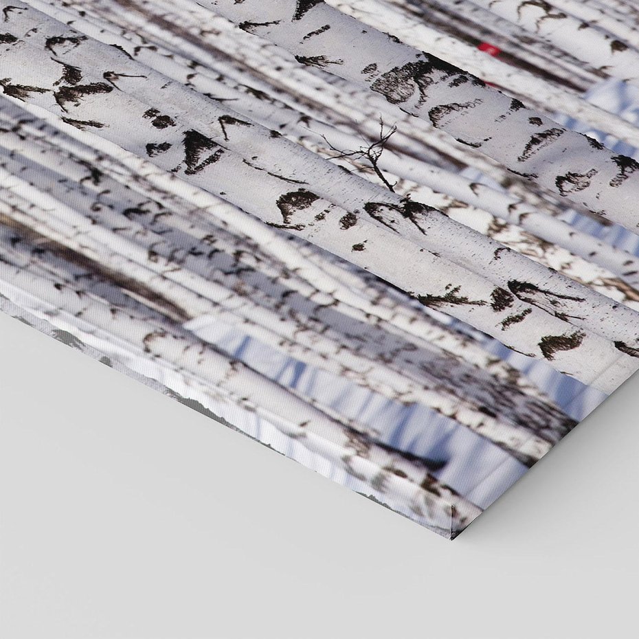 Obraz na płótnie 70x100 - Lśniące Brzozy - brzozy, las