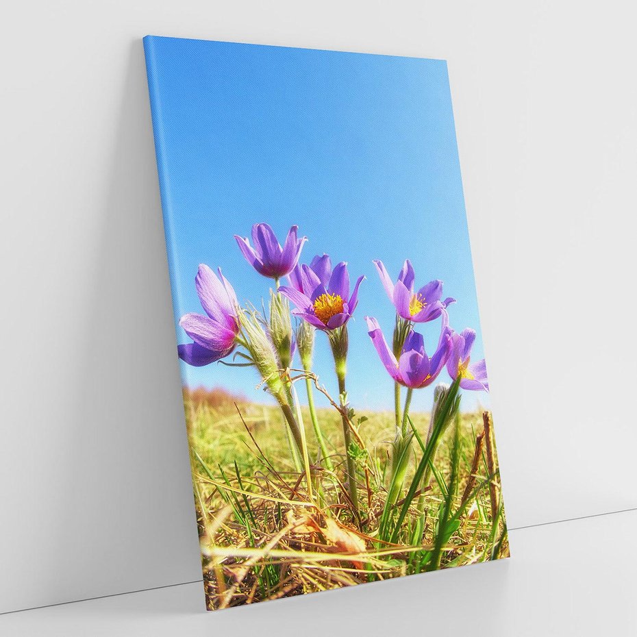 Obraz na płótnie 80x120 - Kwiatowa siła łąki - kwiaty, łąka