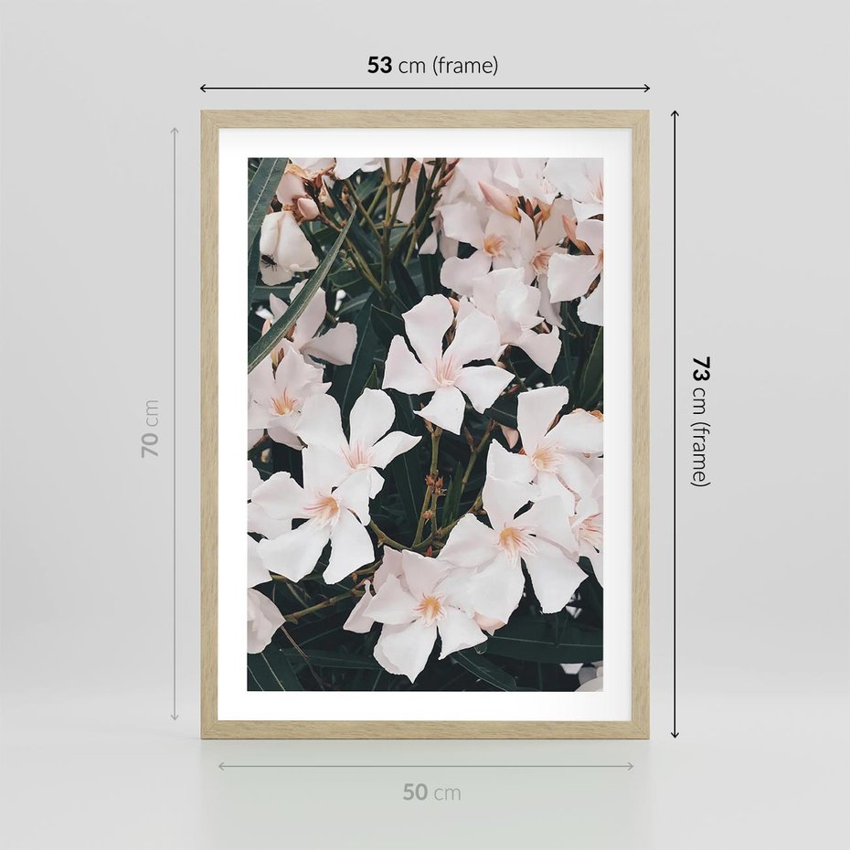 Plakat w ramie 50x70 - Egzotyczna Uroda - białe kwiaty, tropikalne kwiaty - rama drewno