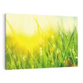 Obraz na płótnie 70x50 - Piękno Poranka - łąka, trawa