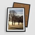 Plakat w ramie 50x70 - Siła natury - drzewa, pole - rama czarna