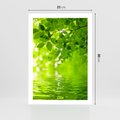 Plakat bez ramy 21x30 - Liście w Wodzie - liście, woda