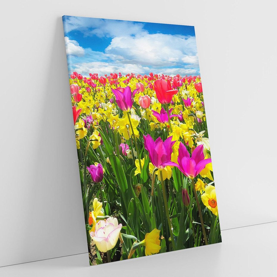 Obraz na płótnie 50x70 - tulipany na łące - kwiaty, tulipany