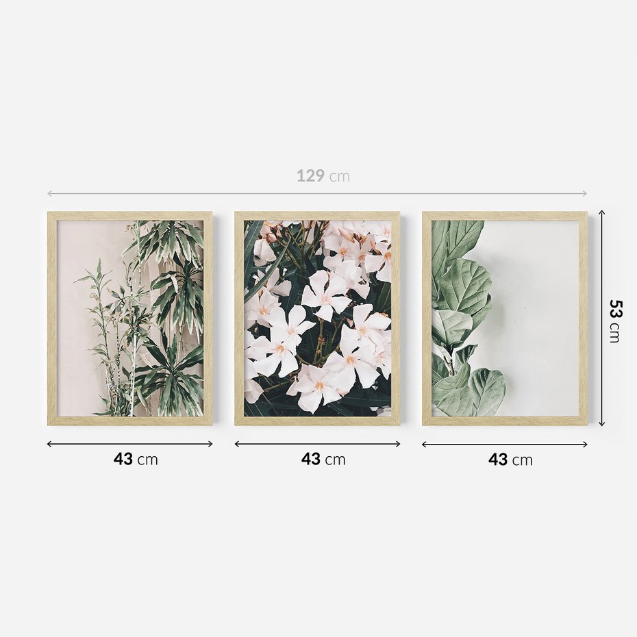 Zestaw obrazy w ramie 40x50 galeria - Liście, kwiaty, nowoczesny, styl - rama drewno