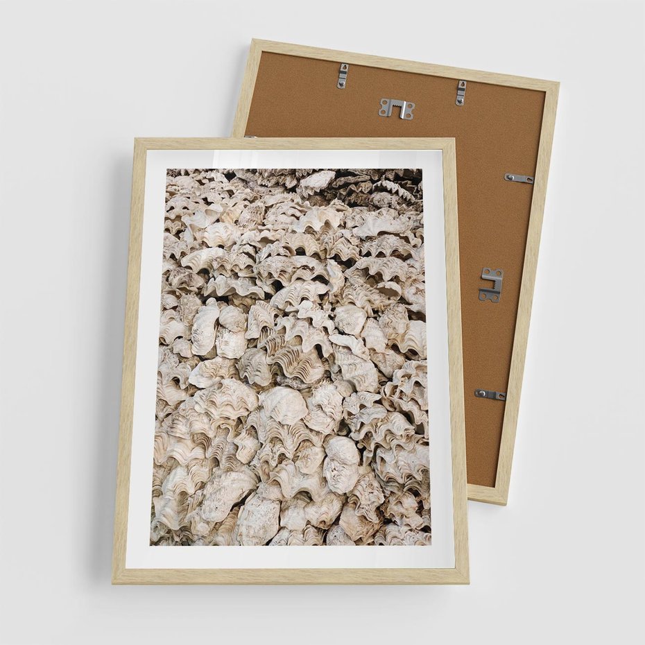 Plakat w ramie 50x70 - Symfonia Natury - kompozycja z białych muszli - rama drewno