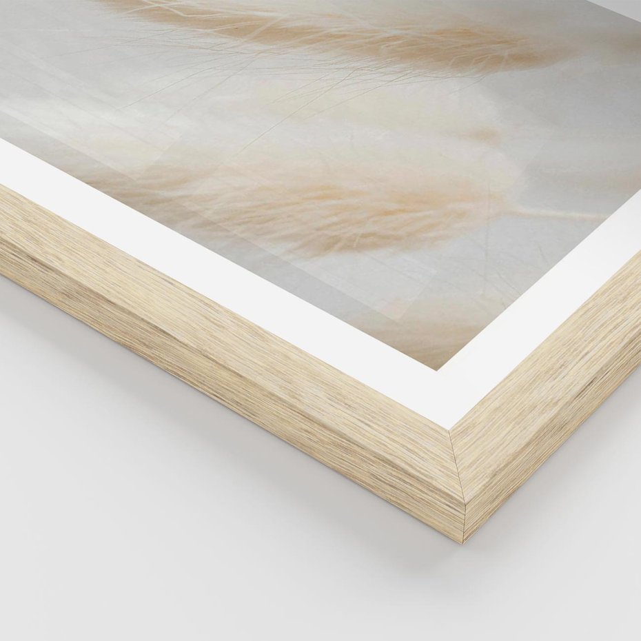 Plakat w ramie 30x40 - Czysty Minimalizm - białe trawy, minimalizm - rama drewno