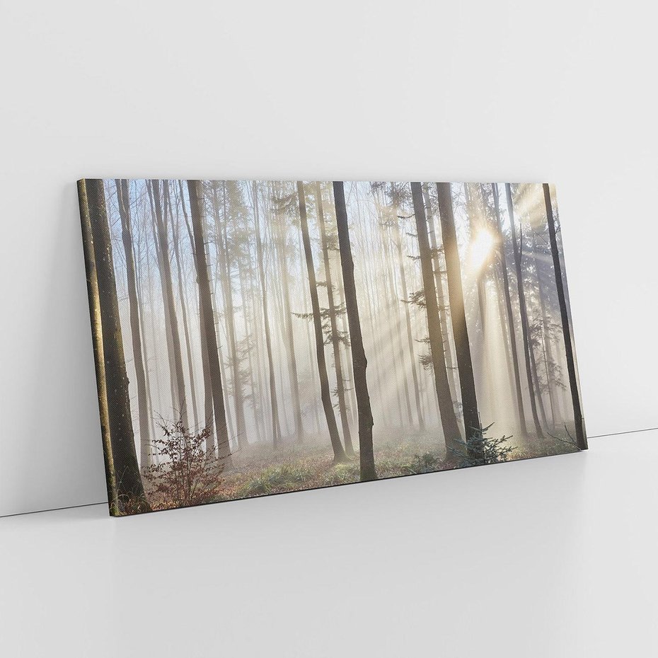 Obraz na płótnie 120x60 - Magiczne zaklęcie: Las pełen drzew - las, drzewa