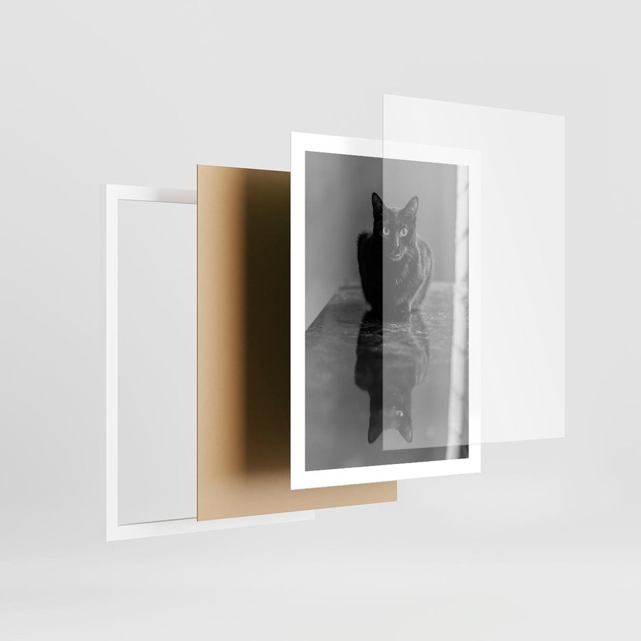 Plakat w ramie 50x70 - Kocie Oczy - kot, czarno białe zdjęcie - rama biała