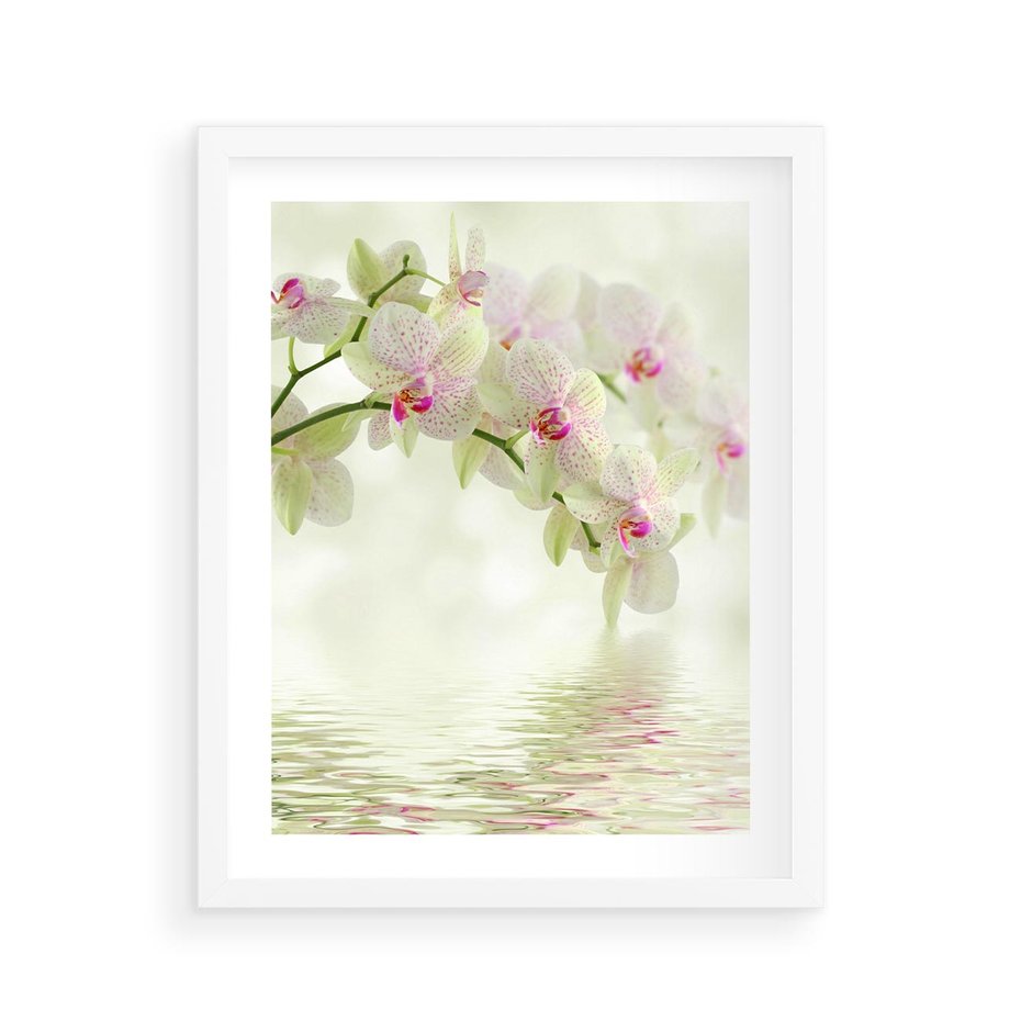Plakat w ramie 40x50 - Orchidea w Spa - orchidea, kwiaty - rama biała