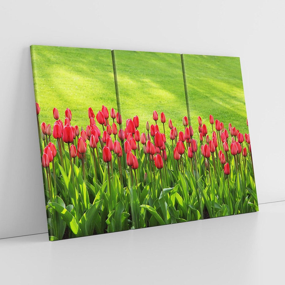 Obraz na płótnie 120x80 - Tulipanowy raj - kwiat, kwiaty