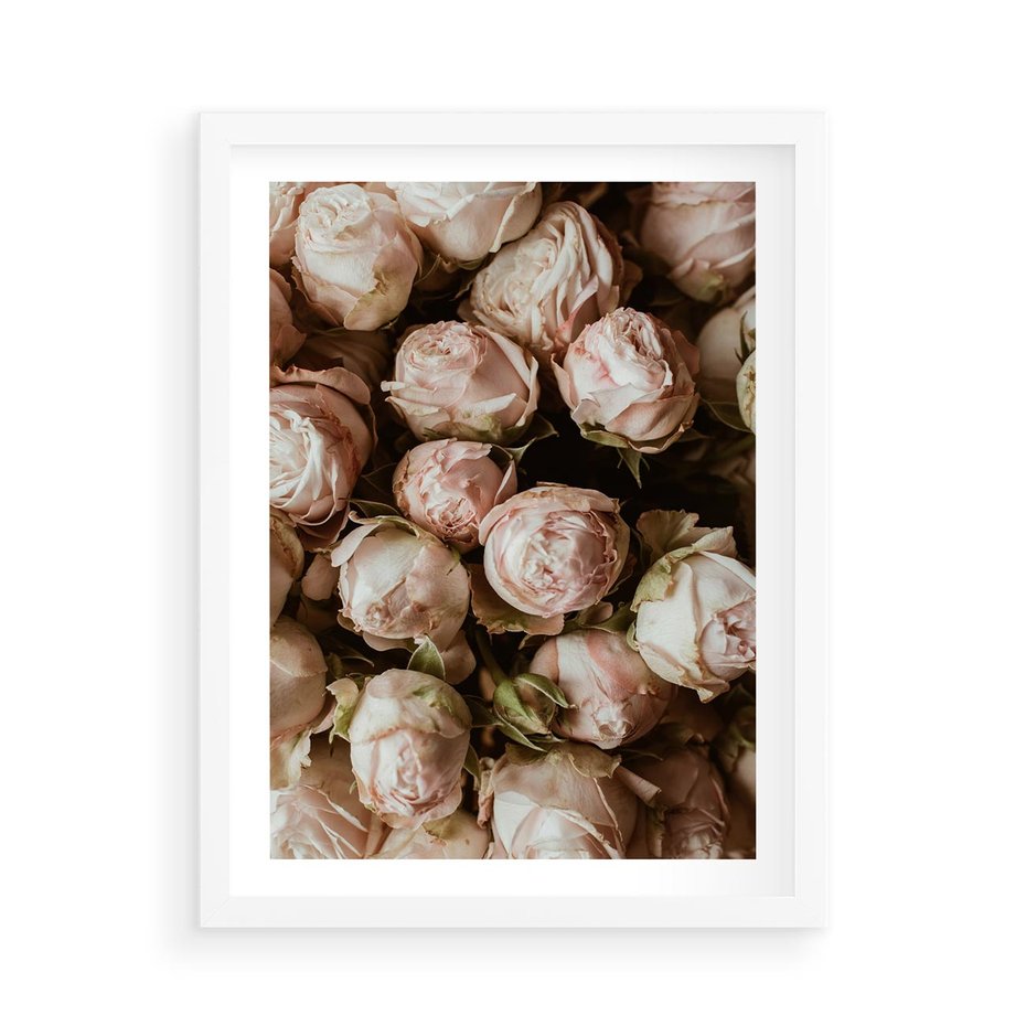 Plakat w ramie 50x70 - Róże i Różowe Kwiaty w Kompozycji - róże, różowe kwiaty - rama biała