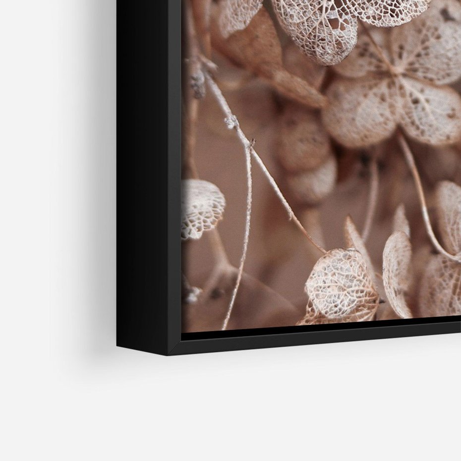 Obraz w ramie 50x70 - Przemijająca Piękność - fotografia, zbliżenie - rama czarna