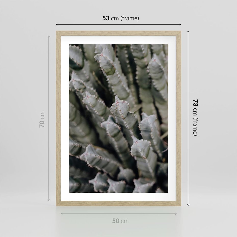 Plakat w ramie 50x70 - Oaza Natury - sukulenty, kaktusy - rama drewno