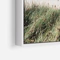 Obraz w ramie 80x80 - Harmonia Natury - widok z wydm, wydmy porośnięte trawami - rama biała