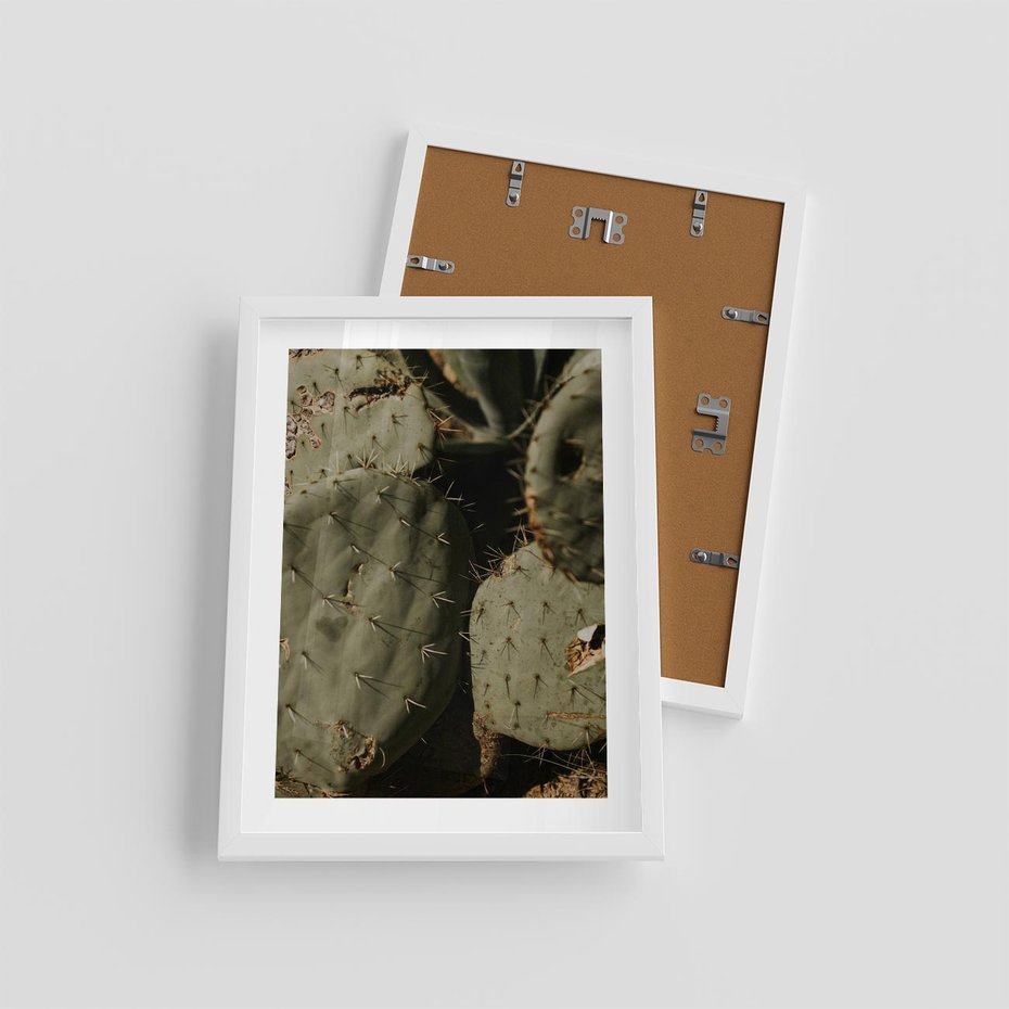 Plakat w ramie 30x40 - Urok Egzotyki - kaktusy, boho - rama biała