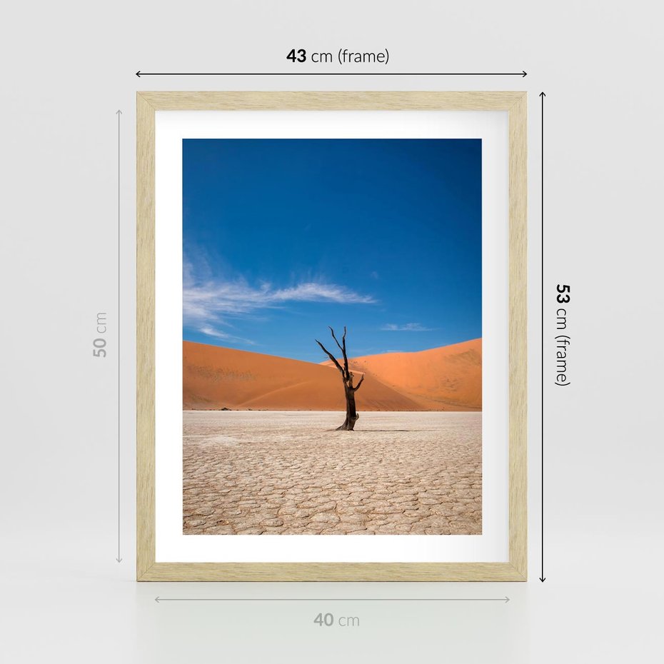 Plakat w ramie 40x50 - Słońce i Suche Drzewo - pustynia, suche - rama drewno