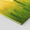 Obraz na płótnie 120x60 - Zboże w kłosach: Oda do plonów natury - zboże, kłos
