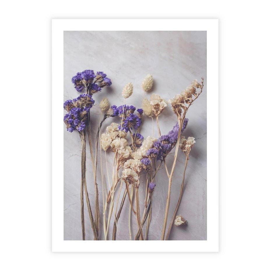 Plakat bez ramy 21x30 - Błękitno-Biała Harmonia - suszone kwiaty, błekitne