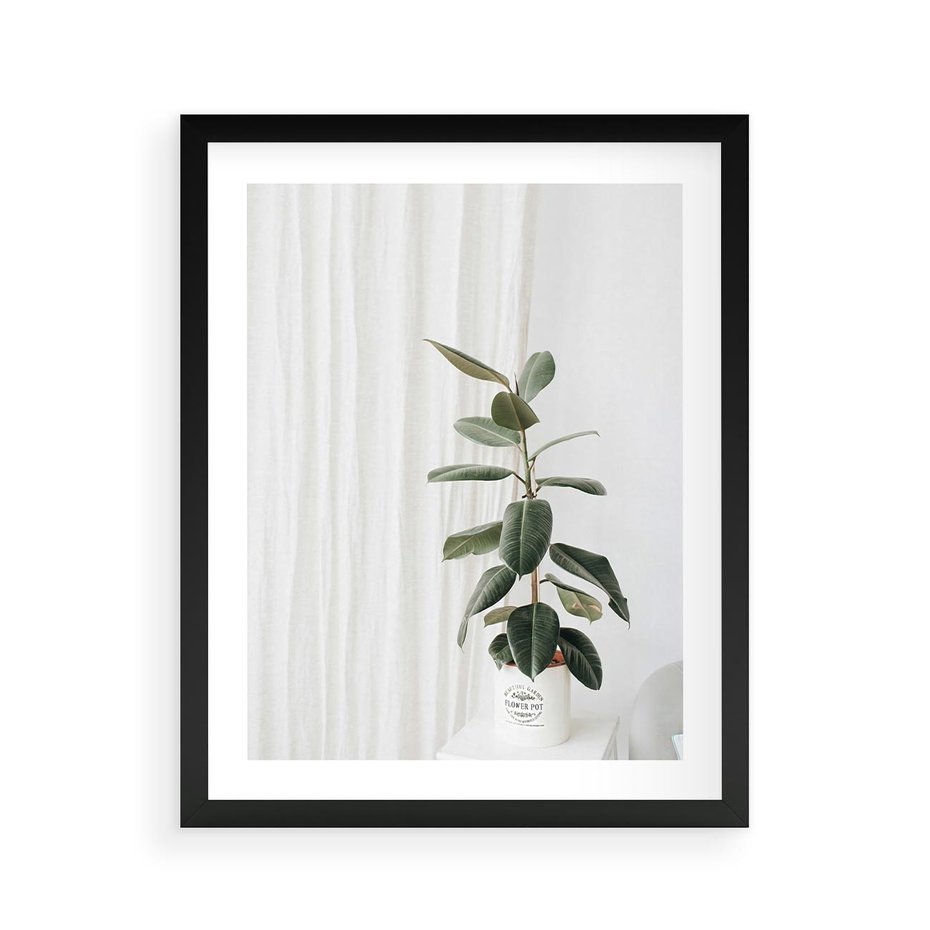 Plakat w ramie 40x50 - Kwiat w Bieli - kwiat w doniczce, białe wnętrze - rama czarna