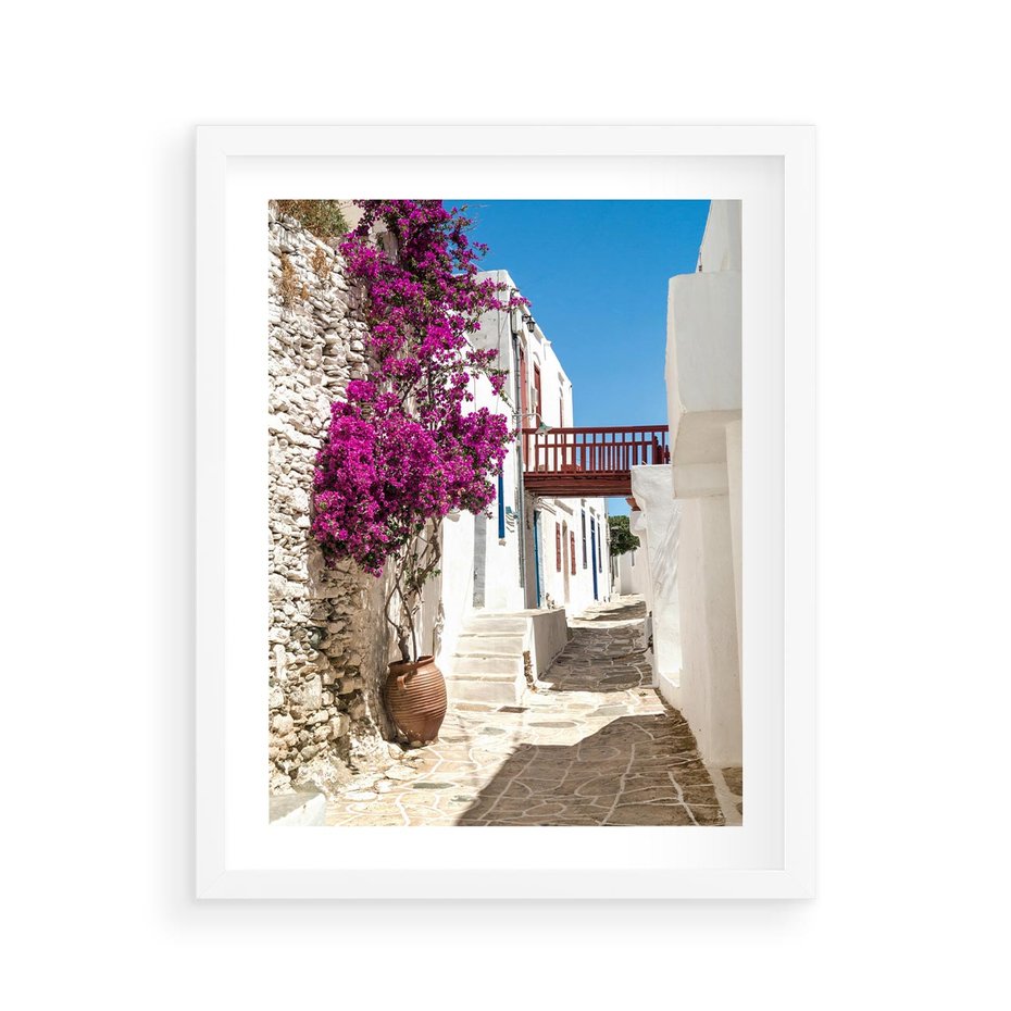 Plakat w ramie 40x50 - Kwiaty Chorwacji - kwiaty, Chorwacja - rama biała