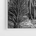 Obraz w ramie 80x80 - Pustynny Klimat - czarno białe zdjecie, pustynia - rama biała