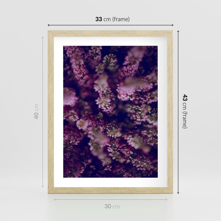 Plakat w ramie 30x40 - Wrzosowa Delikatność - wrzosy, kwiaty - rama drewno