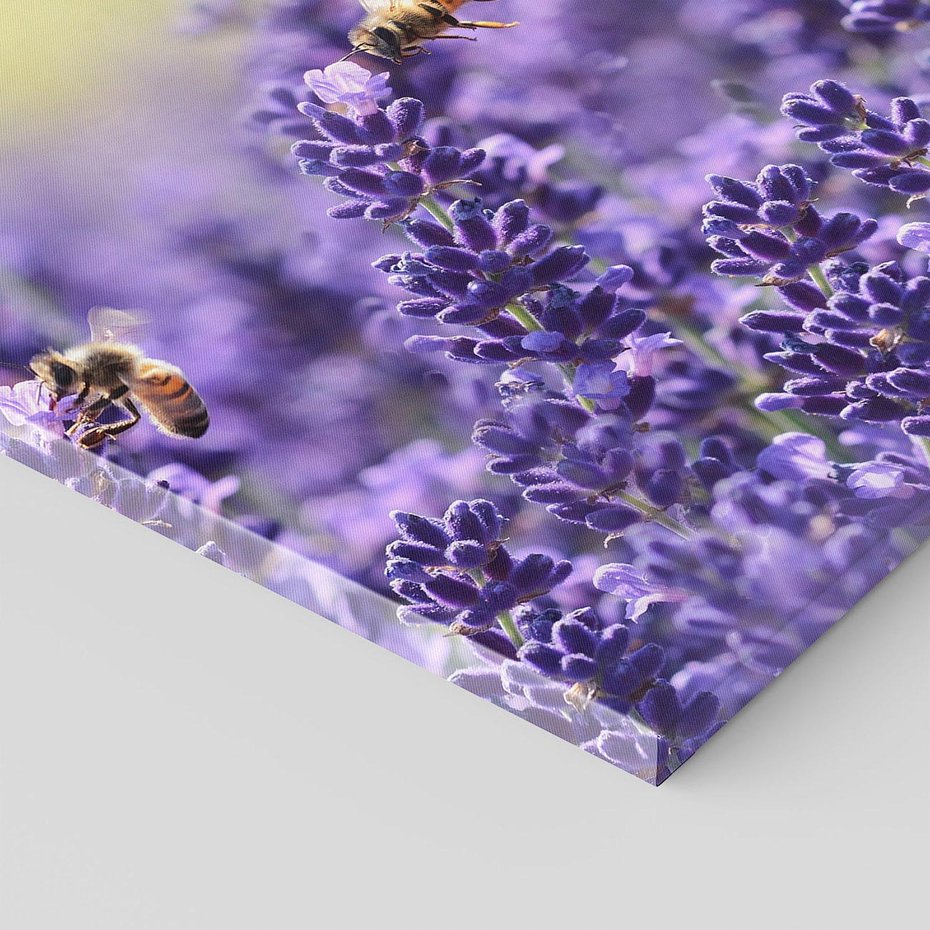 Obraz na płótnie 50x50 - Magia lawendy delikatne kwiaty - lawenda, kwiat