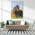 Obraz na płótnie 80x120 - Siła i piękno natury - koń, łąka