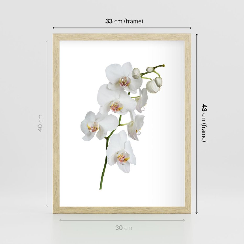 Plakat w ramie 30x40 - Ekskluzywny Relaks - storczyk, spa - rama drewno
